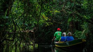 canoe trip at tanjung puting national park