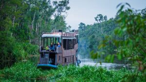houseboat at tanjung puting national park