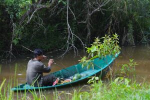 feeding time, balikpapan orangutan tour