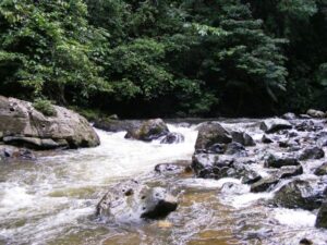 betung kerihun national park