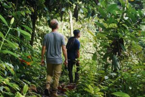 trek at kutai national park