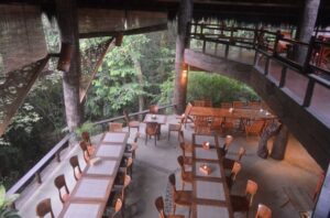 balikpapan orangutan tour