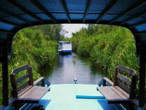 river tour at tanjung puting national park