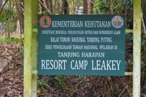 tanjung puting national park