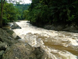 betung kerihun national park