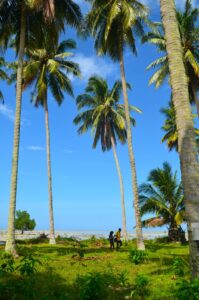maratua island