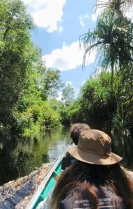 sebangau national park