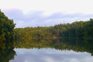 mangrove center balikpapan